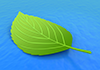 Lake ｜ Leaves ｜ Nature ｜ Environment / Nature / Energy / Disaster ――Environmental image ｜ Free illustration material