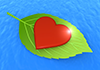 Water ｜ Heart ｜ Leaf | Environment | Nature | Energy | Disaster --Environmental Image ｜ Free Illustration Material