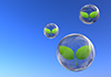 Natural environment ｜ Sprouts ――Environmental image ｜ Free illustration material