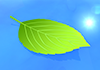 Clean Energy | Sun | Water | Environment / Nature / Energy / Disaster Material --Environmental Image | Free Illustration Material