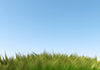 Blue Sky ｜ Flowers ｜ Refreshing | Environment / Nature / Energy / Disaster Material --Environmental Image ｜ Free Illustration Material