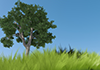 Trees / Grass | Sky | Holidays / Landscapes | Environment / Nature / Energy / Disasters --Environmental Image | Free Illustration Material