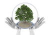 Clean Energy ｜ Both Hands / Power ｜ Water / Tree / Sphere | Environment / Nature / Energy / Disaster Material --Environmental Image ｜ Free Illustration Material