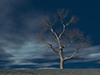 Dead Trees | Drought | Wasteland | Forests | Environment / Nature / Energy / Disasters --Environmental Images | Free Illustrations