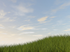 Flowers | Plants | Dusk material | Environment / Nature / Energy / Disaster --Environmental image | Free illustration material