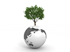 Earth | Big Tree | Green | Asia --Environmental Image | Free Illustration Material