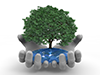 Hands | Wrap | Trees | Environment | Nature | Energy | Disasters-Environmental Images | Free Illustrations